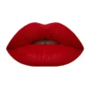 (pack Of 8) High Pigment Matte Lipgloss - Image 4