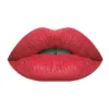 (pack Of 8) High Pigment Matte Lipgloss - Image 2